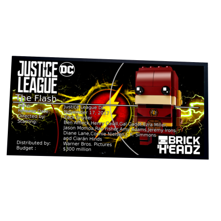 Plaque type UCS The Flash réf 41598
