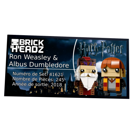Plaque type UCS Ron Weasley & Albus réf 41621