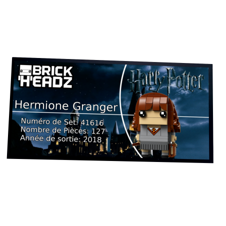 Plaque type UCS Hermione Granger réf 41616