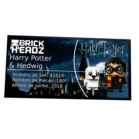 Plaque type UCS Harry Potter & Hedwige réf 41615