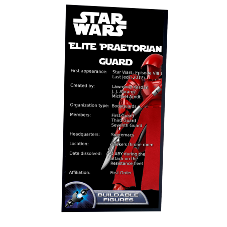 Plaque type UCS Elite Praetorian Guard réf 75529