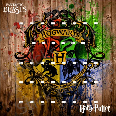 Fond de cadre Harry Potter 4 Maisons (2 séries) 50X50 cm 38 emplacements