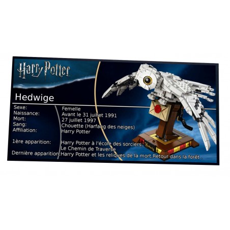 Plaque type UCS Harry Potter Hedwige Réf 75979