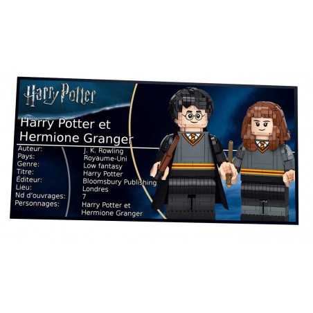 Plaque type UCS  Harry Potter et Hermione Granger Réf 76393