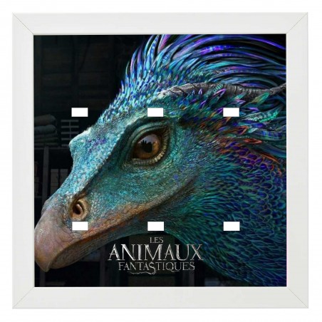 Cadre Serie Animaux Fantastiques (6 figurines)- 25x25cm