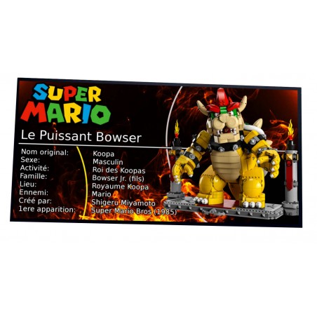Plaque Type Le Puissant Bowser -réf 71411