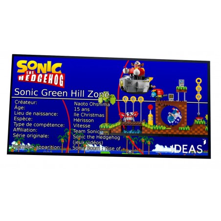 Plaque Type UCS Sonic the Hedgehog– Green Hill Zone -réf 21331