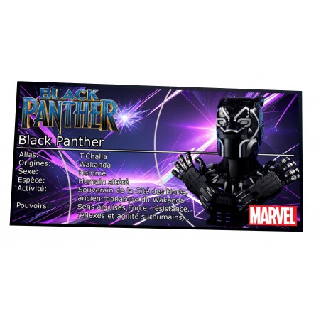 Plaque type UCS Black Panther réf 76215