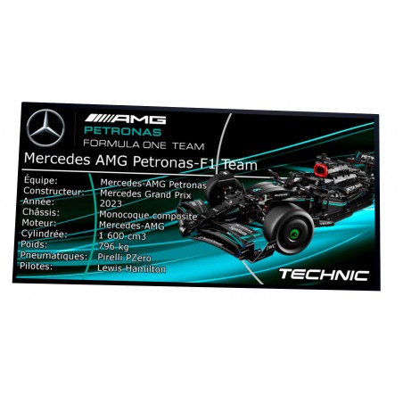 Plaque type UCS Mercedes-AMG F1 W14 E Performance réf 42171
