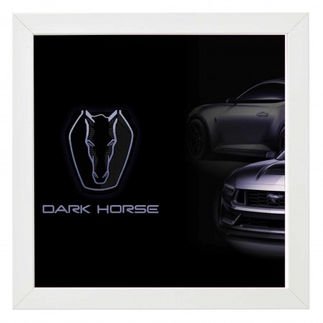 Cadre Exposition Speed Champion 25cmx25xm, pour  Ford Mustang Dark Horse Car réf: 76920