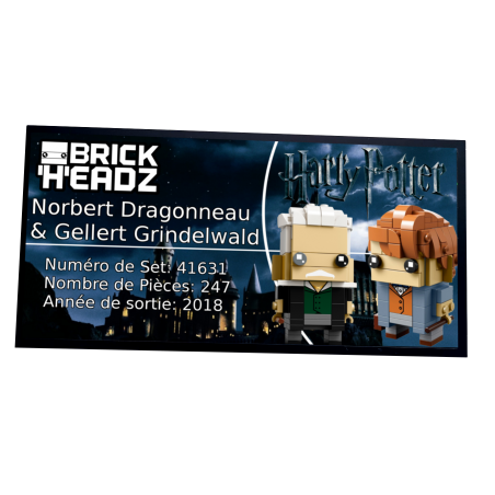 Plaque type UCS Norbert Dragonneau & Gellert Grindelwald réf 41631