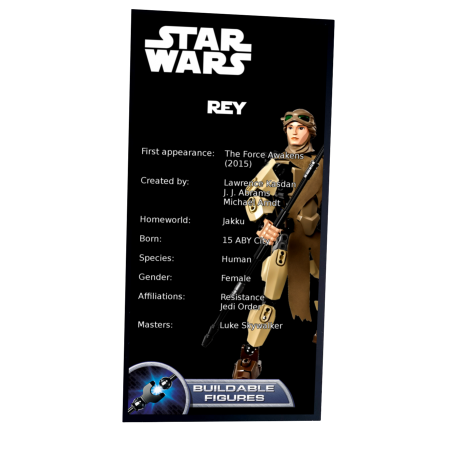 Plaque type UCS Rey réf 75113